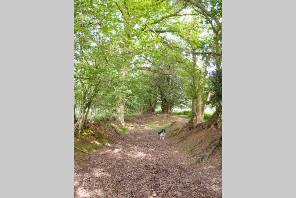 Upper Heath Farm - Stable Cottage Ludlow 크래븐 암즈 외부 사진